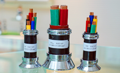 額定電壓1kV聚氯乙烯絕緣銅(鋁)芯電力電纜